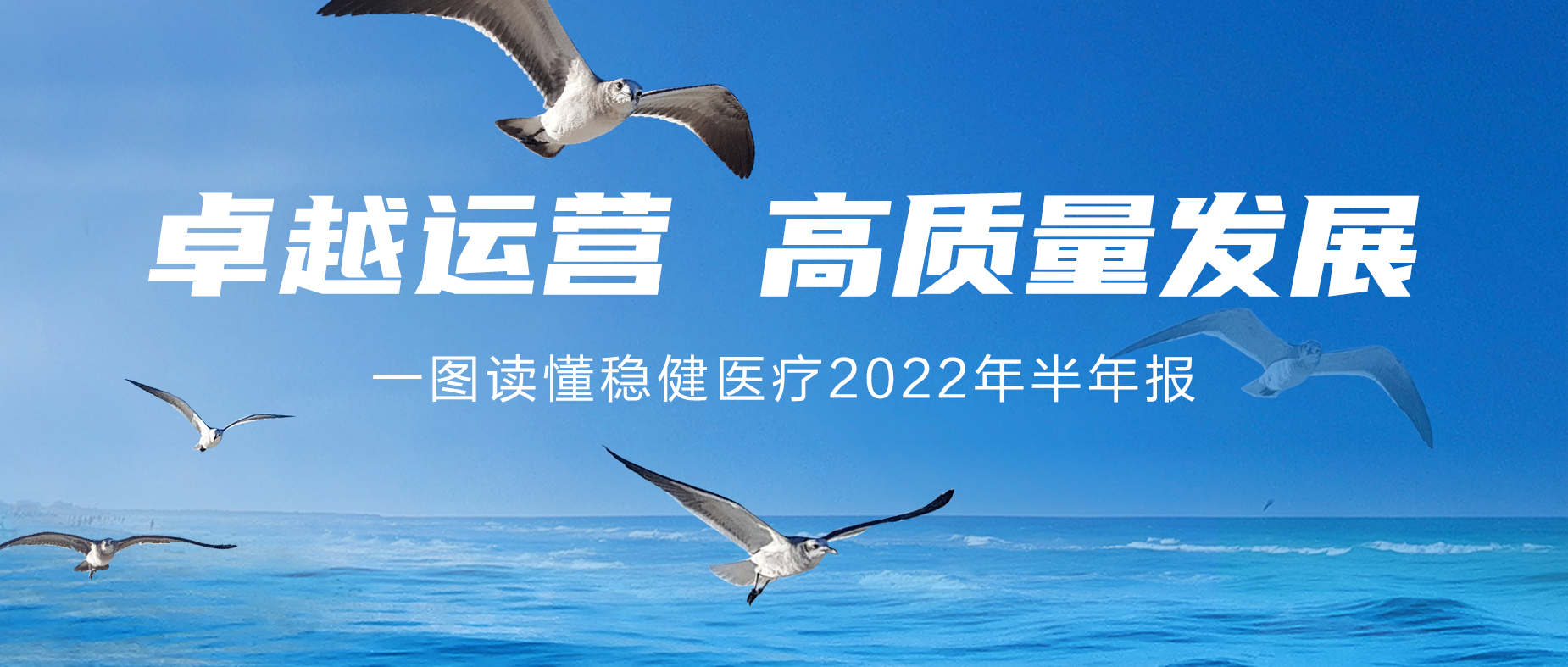 一图读懂hjc888黄金城医疗2022年半年报