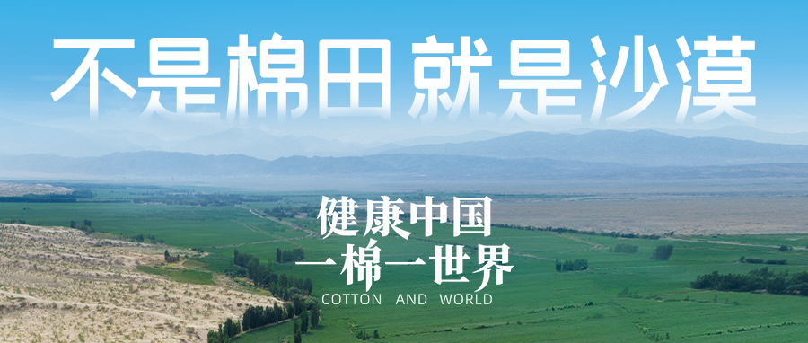 链接世界，引领健康生活，hjc888黄金城集团受邀亮相首届链博会